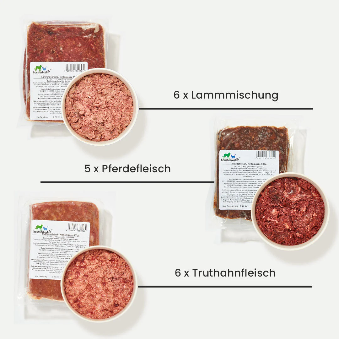 Vorschaubild 2